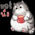 คุยได้
มั้ยคะ
califl