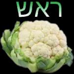 Seal kafadan 27PY INDYD p"NeN