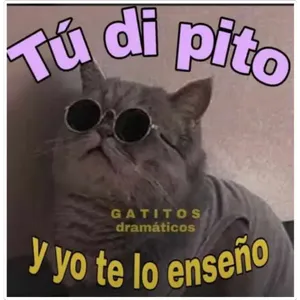 q9d3p0e
