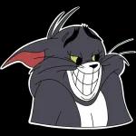 Tom and Jerry
                            Liza Fomushkina