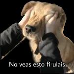 variedad