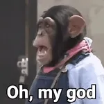 😽 Miau, eres lindo