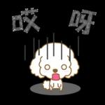 白貴賓犬表情包