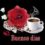 Buenos días y noches