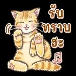 ส ต๊า