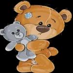 Der Teddybär 🧸	