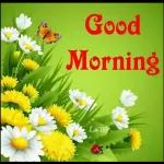 Morning sweetheart❤️😘