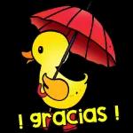 lindo día