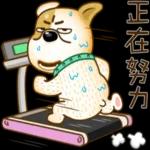 今日福利就等你來 💝