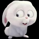 bunny rabbit