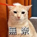 必嚕小貓貓3-與貓妹妹撒給
