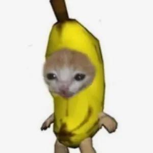 kjpQRt