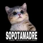 Llamame