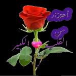 اوووك