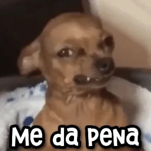 yqhora8