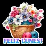 Feliz Inicio de Semana