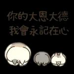 三只小猫生活日常☆ 2