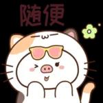 生活一定系将压轴嘅好运益咗你🍀 而家先畀你经历咁不尽人意嘅日子