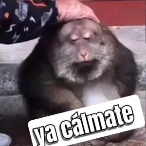 kDECuM