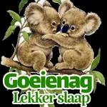 Lekker slaap 