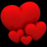 Seal kafadan 27PY INDYD p"NeN