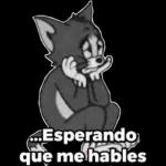 No es mi problema es su problema
