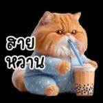 แมวขี้โมโหในชุดนอนสีอ่อน