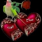 yakup1970ciftci@gmail.com