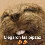 NADIE QUIERE A CALVIN