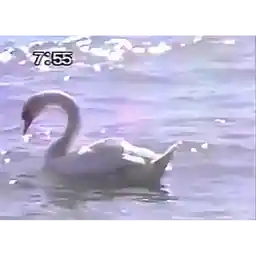 Спаси и сохрани!!!