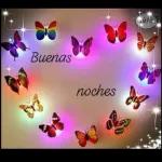 Zzz... Hasta mañana