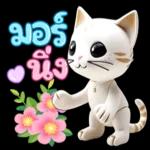 แมวน่ารักเล็กๆ~