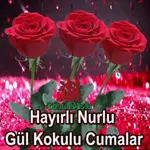 aynur