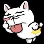 豆卡頻道-茶寶丸萌犬篇