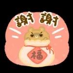 美吉熊&爆爆熊-吉龍來