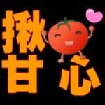 可愛蕃茄-大字超實用日常生活用語