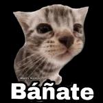 RARO