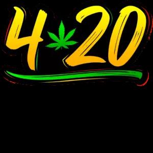 JoBNo2