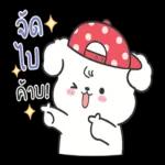 คืนนี้ขอให้ฝันดีจ้า😪😪😪