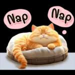 cute cat ❤️❤️