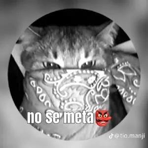 8tjjNq