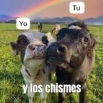 👉👈