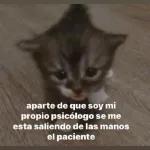 aparte de que soy mi propio psicólogo se me esta saliendo de las manos el paciente