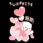 0107-tw-小熊