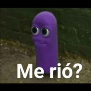 DHSMZg