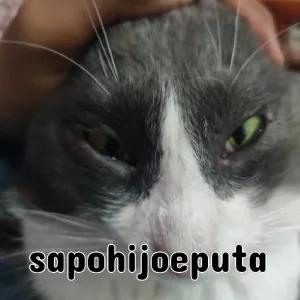 9joAEQ
