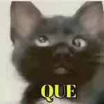 pendejo