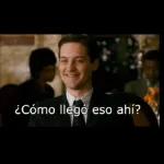 ¿Cómo llegó eso ahí?