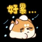 米犬日常 - 冬至篇