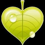 💐 שבת שלום 💐